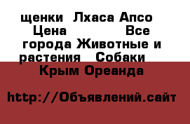 щенки  Лхаса Апсо › Цена ­ 20 000 - Все города Животные и растения » Собаки   . Крым,Ореанда